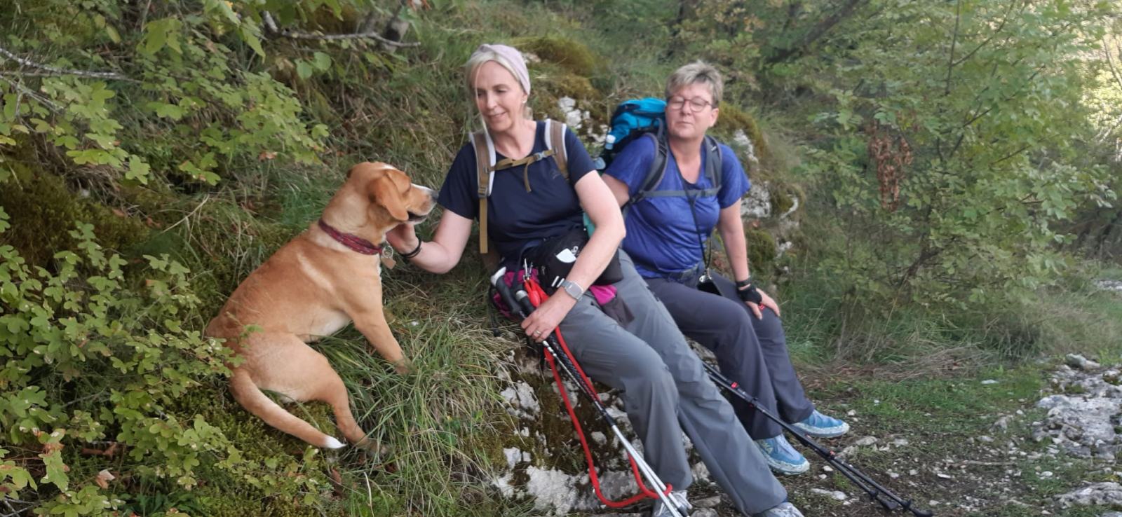 Pilgerrast mit Hund